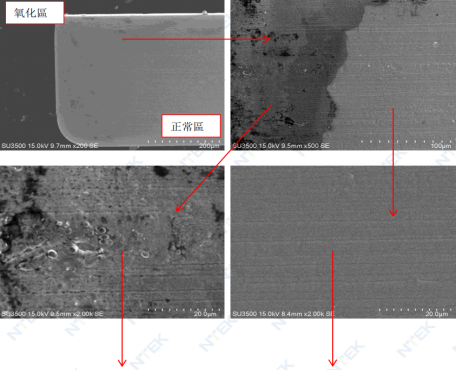 电镀层氧化测试.jpg