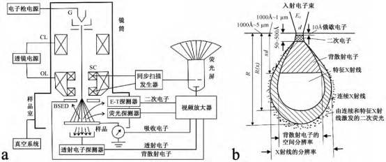 扫描电镜SEM.jpg