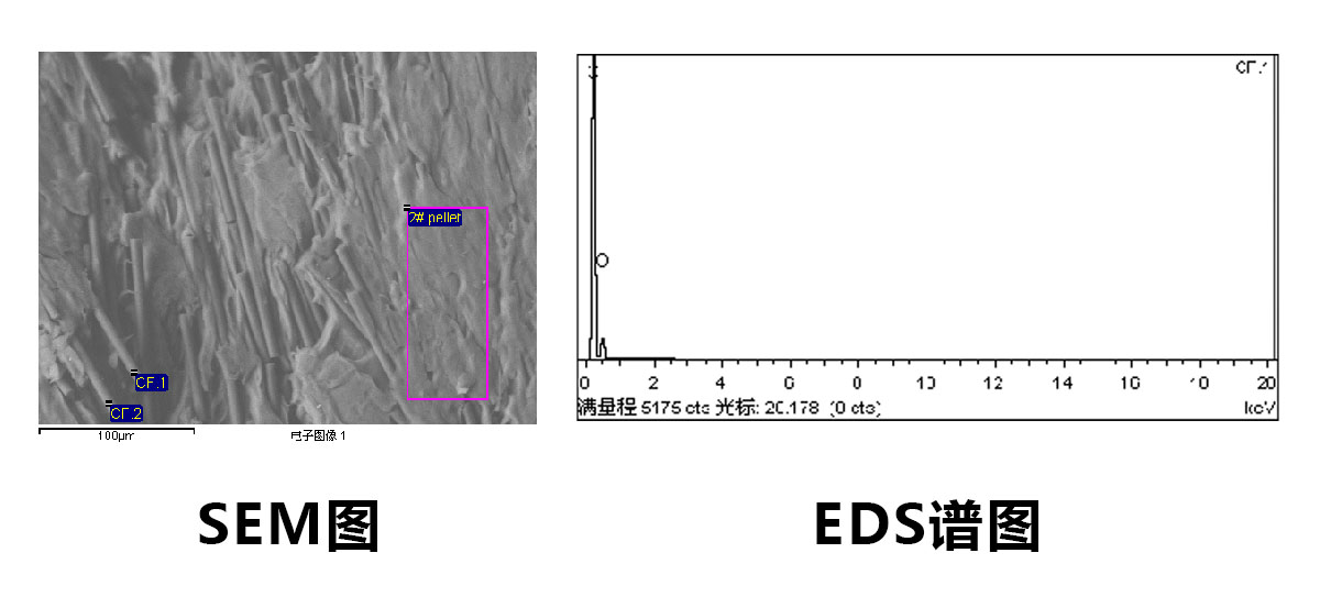 样品的表面形貌：碳纤维CF与树脂的结合情况等.jpg