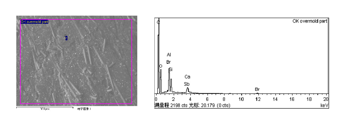 SEM/EDS分析.jpg